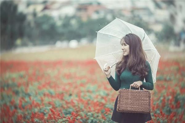 公司起名_個(gè)性名字