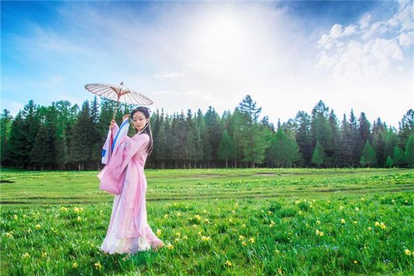 古代名字帶龍的  第1張