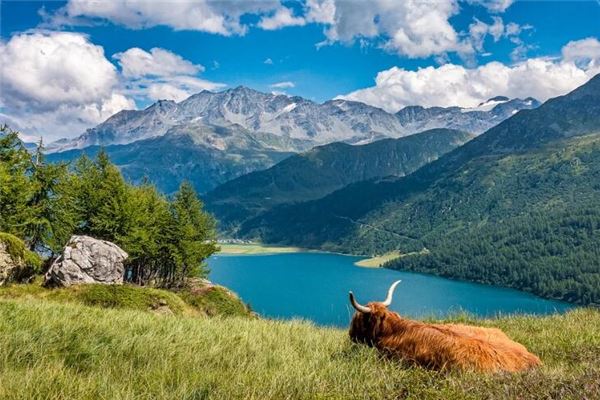 生辰八字取名_新的張氏姓名大全